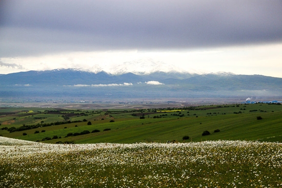 طبیعتی به رویایی جنگل فندقلو+تصاویر