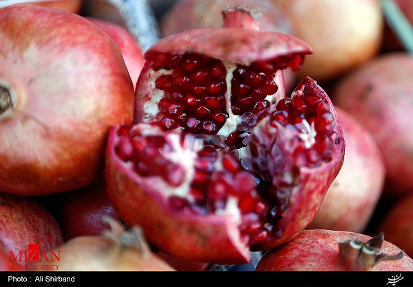 یلدا بهانهای برای افزایش قیمتها/ خواب طولانی دستگاههای نظارتی در طولانیترین شب سال یلدا بهانهای برای افزایش قیمتها/ خواب طولانی دستگاههای نظارتی در طولانیترین شب سال
