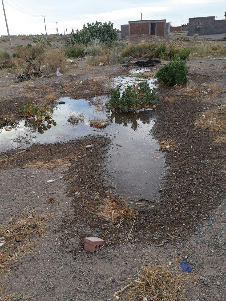 ورود دستگاه قضائی به مشکلات شبکه آب رسانی بخش جازموریان / مسئولان در کوتاه‌ترین زمان نسبت به تامین آب شرب سالم مردم منطقه اقدام کنند