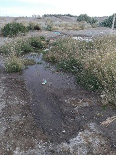 ورود دستگاه قضائی به مشکلات شبکه آب رسانی بخش جازموریان / مسئولان در کوتاه‌ترین زمان نسبت به تامین آب شرب سالم مردم منطقه اقدام کنند