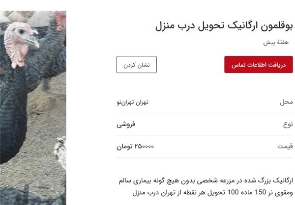 واقعیت لاکچری هایی با پسوند «ارگانیک»/ هر آنچه درباره محصولات ارگانیک باید بدانید واقعیت لاکچری هایی با پسوند «ارگانیک»/ هر آنچه درباره محصولات ارگانیک باید بدانید