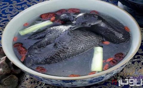 خوراک ثروتمندان در چین + تصاویر خوراک ثروتمندان در چین + تصاویر