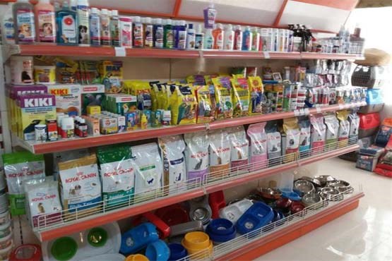 سگهایی که نباید استرسی شوند!/منو غذایی ۷۵ هزار تومانی برای بچه گربههای حساس! سگهایی که نباید استرسی شوند!/منو غذایی ۷۵ هزار تومانی برای بچه گربههای حساس!