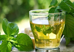 اکالیپتوس، گیاهی معجزه‌گر در درمان تب