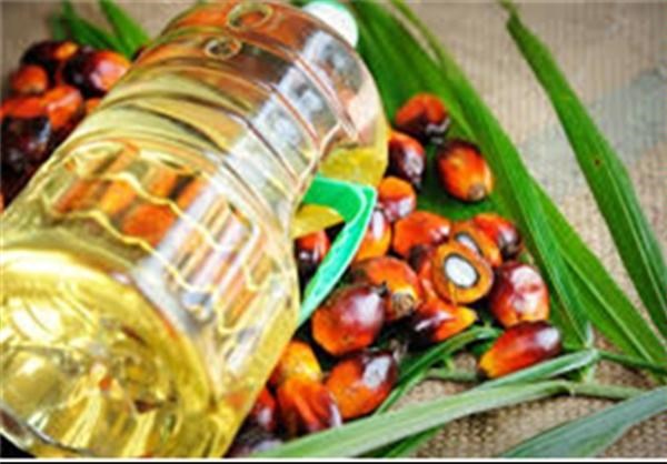 کاهش ۳۰۰ هزار تنی واردات روغن پالم