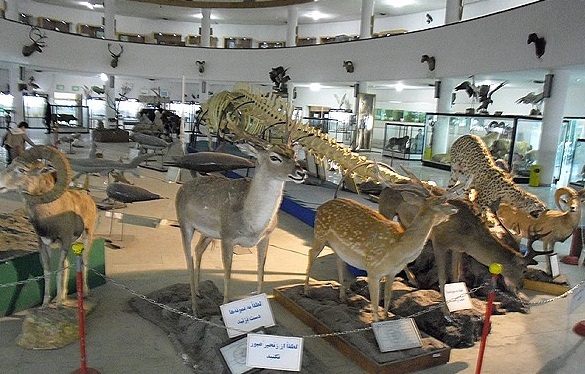بازگشایی موزه تاریخ طبیعی ارومیه