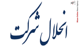 ریزه کاری های شرکت های سهامی در قانون چگونه است؟