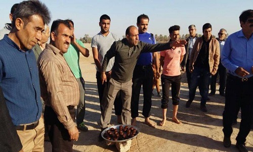از گره کور حاشیهنشینی در شیراز تا اجرای آیین «گل گلینو» برای طلب باران در گناوه/ گنج پنهان در بناهای تاریخی کرمانشاه از گره کور حاشیهنشینی در شیراز تا اجرای آیین «گل گلینو» برای طلب باران در گناوه/ گنج پنهان در بناهای تاریخی کرمانشاه