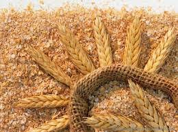 چاقی در اقشار کم درآمد!