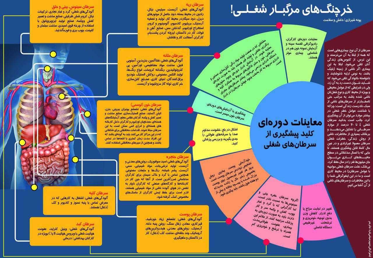 اصول پیشگیری از سرطانهای شغلی+اینفوگرافی اصول پیشگیری از سرطانهای شغلی+اینفوگرافی
