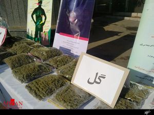 گل فروش شهرک اکباتان دستگیر شد