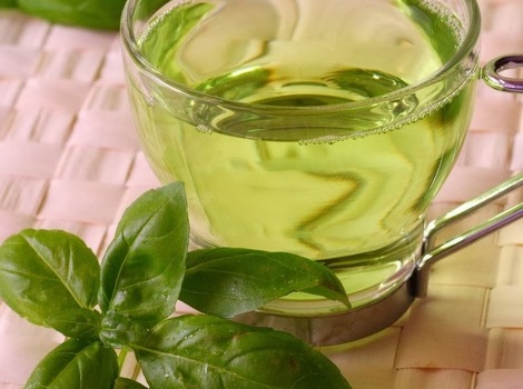 با رایحه ریحان به جنگ میگرن بروید