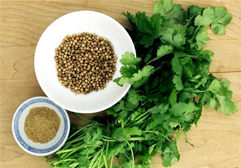 یک سبزی این همه فایده!/ بهبود عمل گوارش و هضم غذا با مصرف یک سبزی جادویی!