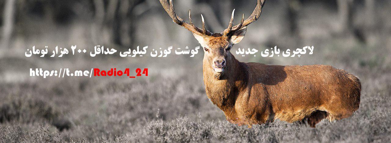 انتقاد تند پرستاری که بازیگر شد/
