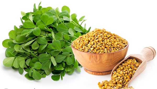 درمان دیابت و فشار خون با شنبلیله درمان دیابت و فشار خون با شنبلیله