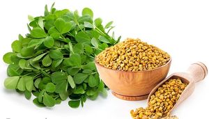 نابودی دیابت با شنبلیله