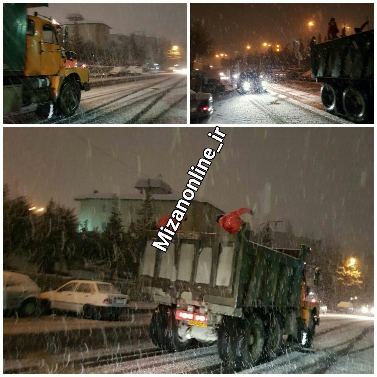 عوارض استفاده از نمک زمان بارش برف برای درختان شهر/ شهرداری مصوبه شورای شهر را مد نظر قرار دهد
