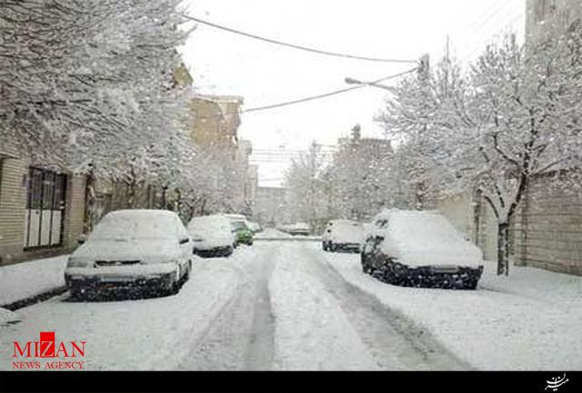 هشدار سازمان پزشکی قانونی در خصوص مرگ ناشی از سرمازدگی و گازگرفتگی/ جان باختن ۴۱۴ نفر بر اثر مسمومیت با گاز منوکسیدکربن
