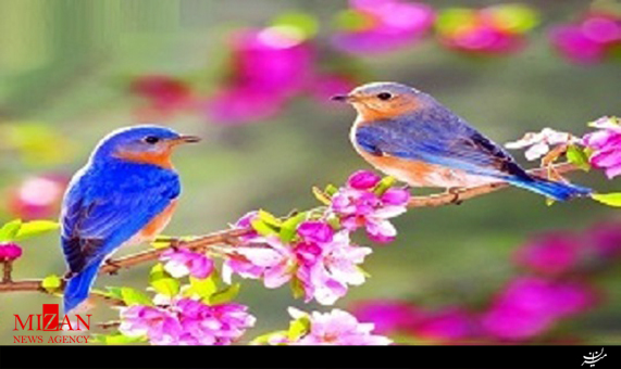 ترانه نوروز آمد با صدای سالار عقیلی + صوت ترانه نوروز آمد با صدای سالار عقیلی + صوت