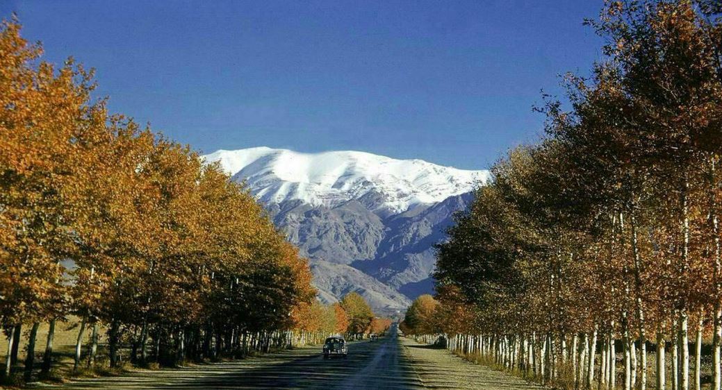 معرفی خیابان ولیعصر تهران