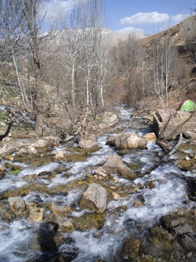 معرفی شهرستان اردل در چهار محال و بختیاری معرفی شهرستان اردل در چهار محال و بختیاری