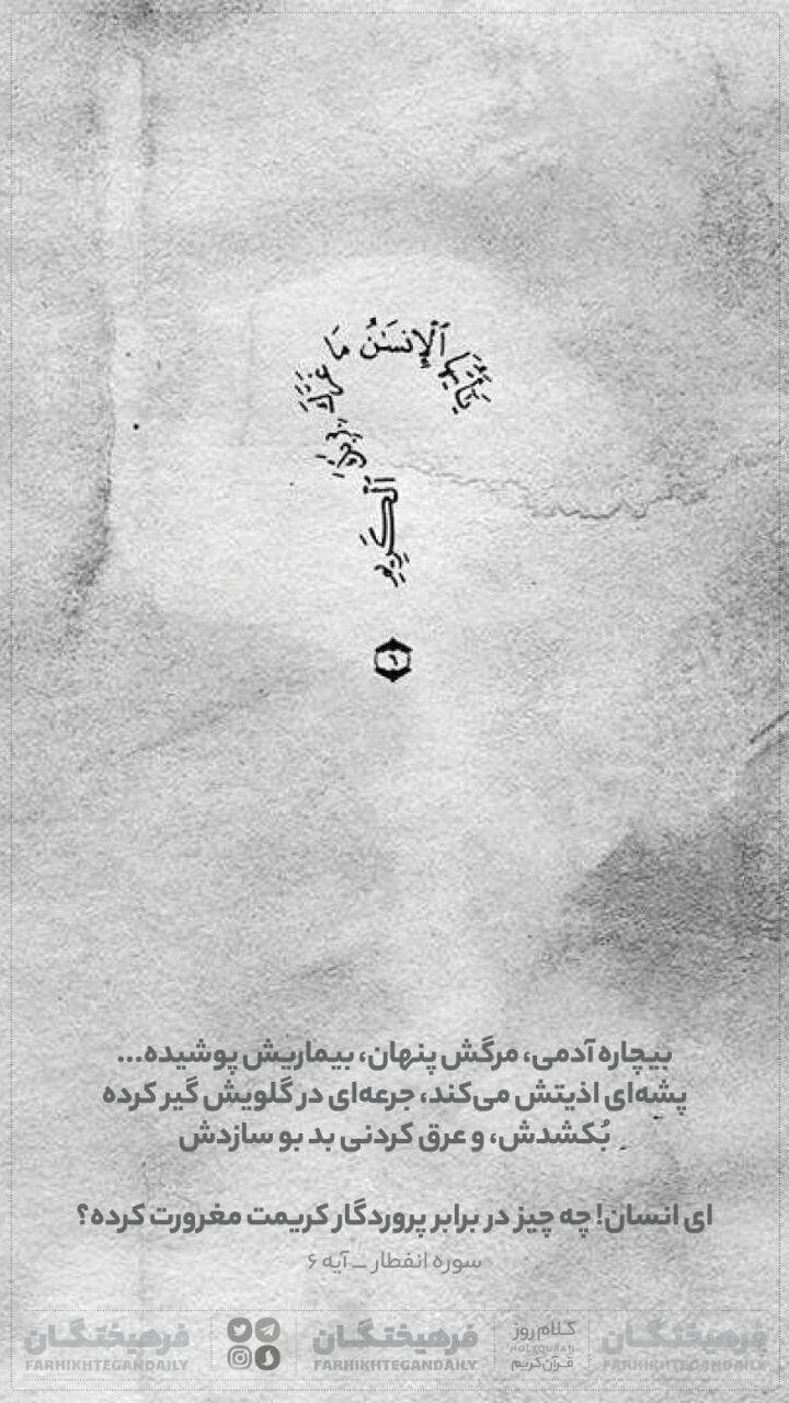 تولد دوقلوهای  محیط بان مازندرانی پس از مرگ بابا/ شکار کوسه عظیم الجثه توسط شیر دریایی/ 6 ماده غذایی برای اضطراب کمتر