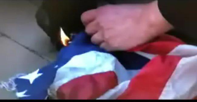 تولد دوقلوهای  محیط بان مازندرانی پس از مرگ بابا/ شکار کوسه عظیم الجثه توسط شیر دریایی/ 6 ماده غذایی برای اضطراب کمتر