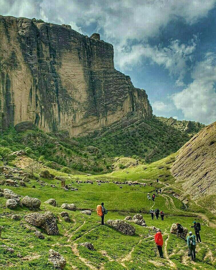 تحصیل پشت نمیکت های خاکی/ معدوم سازی پرندگان مبتلا به آنفلوآنزای فوق حاد/ تصاویری از سقوط اتوبوس به دره در یاسوج تحصیل پشت نمیکت های خاکی/ معدوم سازی پرندگان مبتلا به آنفلوآنزای فوق حاد/ تصاویری از سقوط اتوبوس به دره در یاسوج