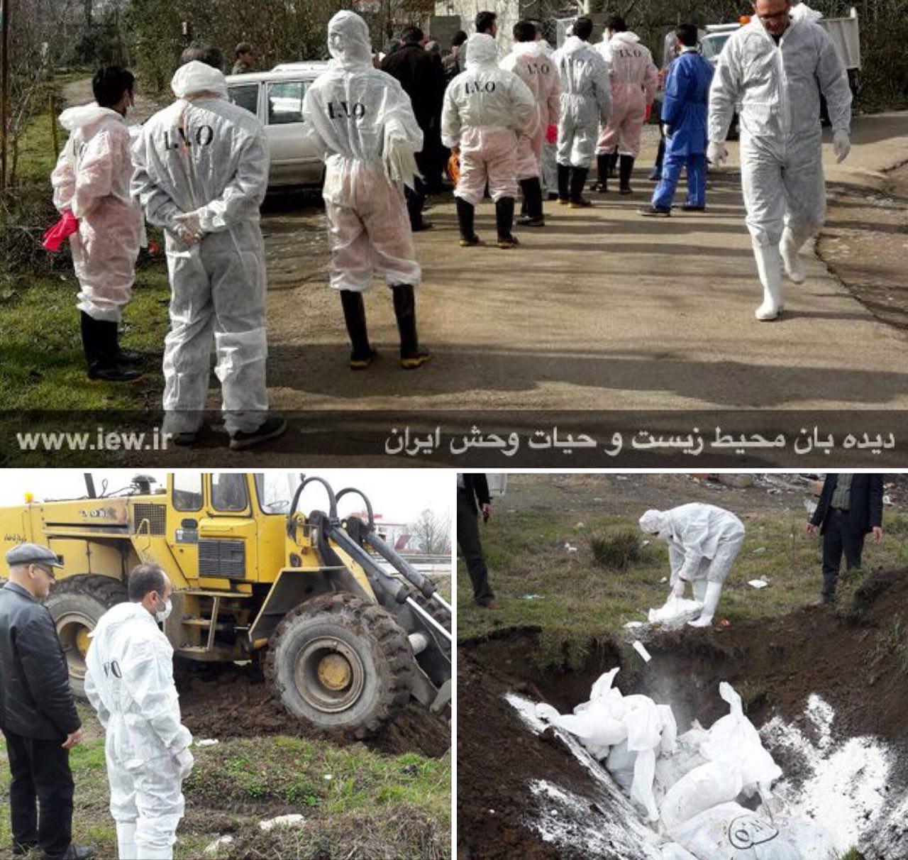 تحصیل پشت نمیکت های خاکی/ معدوم سازی پرندگان مبتلا به آنفلوآنزای فوق حاد/ تصاویری از سقوط اتوبوس به دره در یاسوج تحصیل پشت نمیکت های خاکی/ معدوم سازی پرندگان مبتلا به آنفلوآنزای فوق حاد/ تصاویری از سقوط اتوبوس به دره در یاسوج