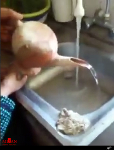 کوزه 5 هزار ساله شهر سوخته جعلی است/ چنین نمونه ای در شهر سوخته وجود ندارد + تصاویر و ویدیو کوزه 5 هزار ساله شهر سوخته جعلی است/ چنین نمونه ای در شهر سوخته وجود ندارد + تصاویر و ویدیو