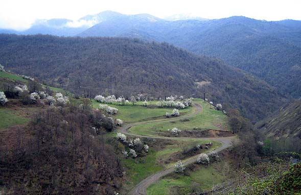 حیران یکی از زیباترین مناطق سرسبز ایران/عیدانه حیران یکی از زیباترین مناطق سرسبز ایران/عیدانه