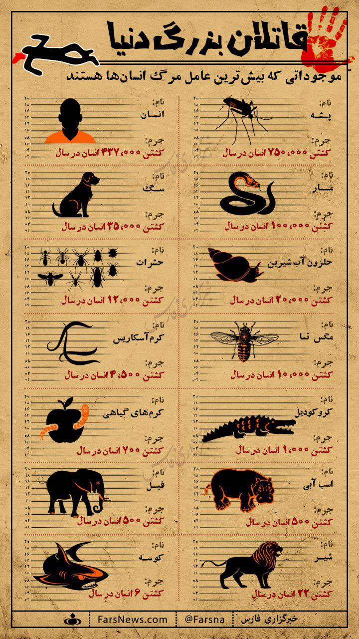 عکس یادگاری دختر ترامپ در کنار مقامات کره شمالی/ کشفیات جدید باستان‌شناسان در دره نیل مصر/ قاتلان بزرگ دنیا را بشناسید