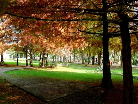 باغ محتشم رشت یکی از زیبا ترین باغ های ایران/عیدانه باغ محتشم رشت یکی از زیبا ترین باغ های ایران/عیدانه