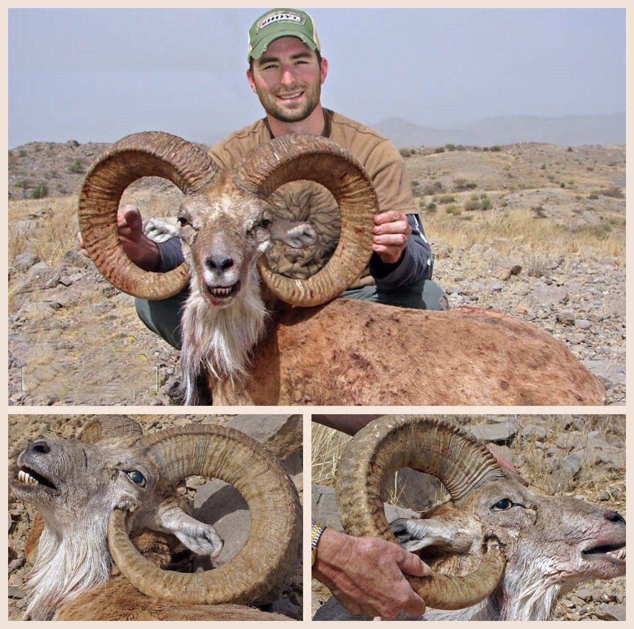 قبرستان کفش‌ها/ چند راهکار برای جلوگیری از خراب شدن خودرو/ غول آرام در سواحل استرالیا/ ابَرتورّم در ونزوئلا!