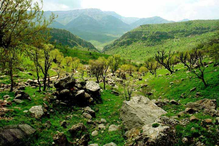 معرفی شهر یاسوج در استان کهگیلویه و بویر احمد معرفی شهر یاسوج در استان کهگیلویه و بویر احمد