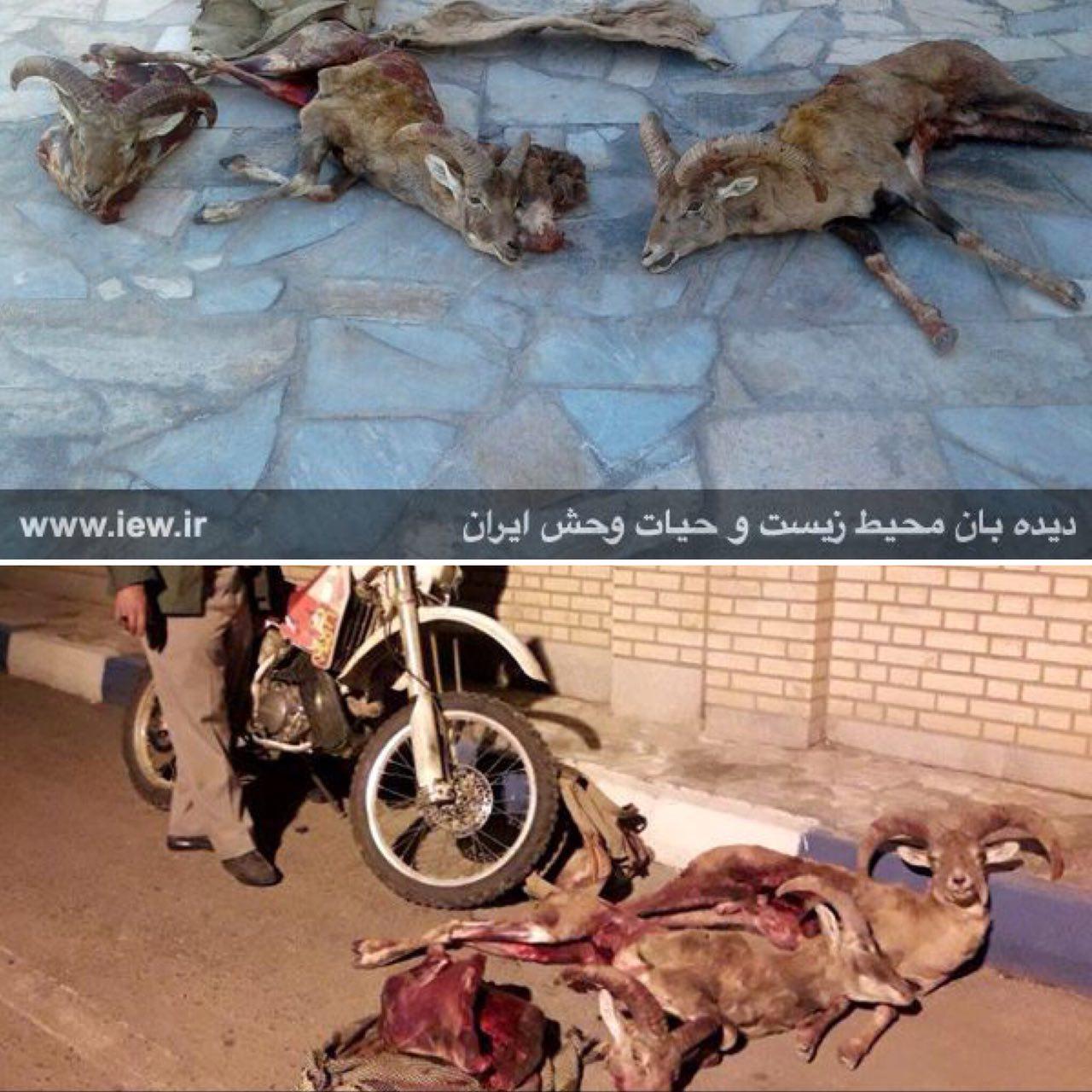 دعایی برای دوای دردها/ لذت خوردن با طعم مرگ! / روش های جادویی برای درمان فوری گلودرد! دعایی برای دوای دردها/ لذت خوردن با طعم مرگ! / روش های جادویی برای درمان فوری گلودرد!