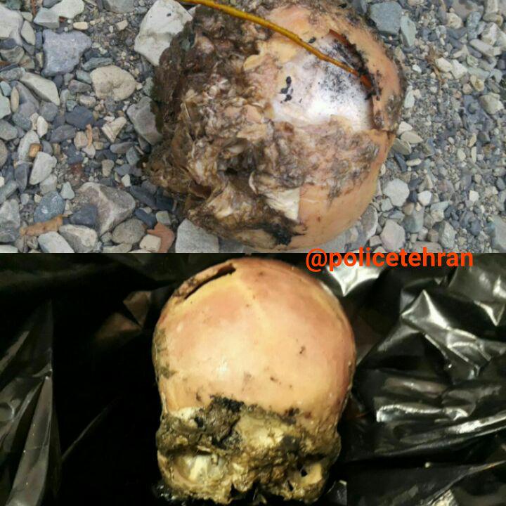 گیر افتادن گروگانگیرها با تیزهوشی طلافروش/ کشف جمجمه در ارتفاعات درکه/ بخشش قاتل به شرط ازدواج 2 خواهر گیر افتادن گروگانگیرها با تیزهوشی طلافروش/ کشف جمجمه در ارتفاعات درکه/ بخشش قاتل به شرط ازدواج 2 خواهر