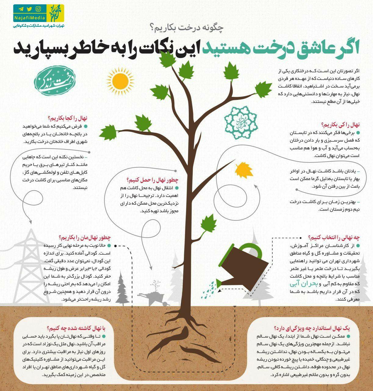 اولین پروتز برای 3 هزار سال پیش/ ساندویچ لاکچری ۲۵۰ هزار تومانی در تهران!/ مقایسه مصرف بنزین ایران و ترکیه/ اژدهای چینی ۱۰۰ متری اولین پروتز برای 3 هزار سال پیش/ ساندویچ لاکچری ۲۵۰ هزار تومانی در تهران!/ مقایسه مصرف بنزین ایران و ترکیه/ اژدهای چینی ۱۰۰ متری