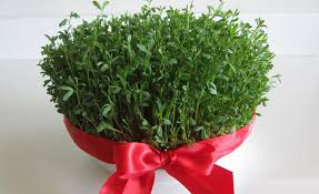 برای 