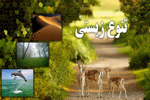 توسعه باید با نگاه به حفظ تنوع زیستی رقم بخورد