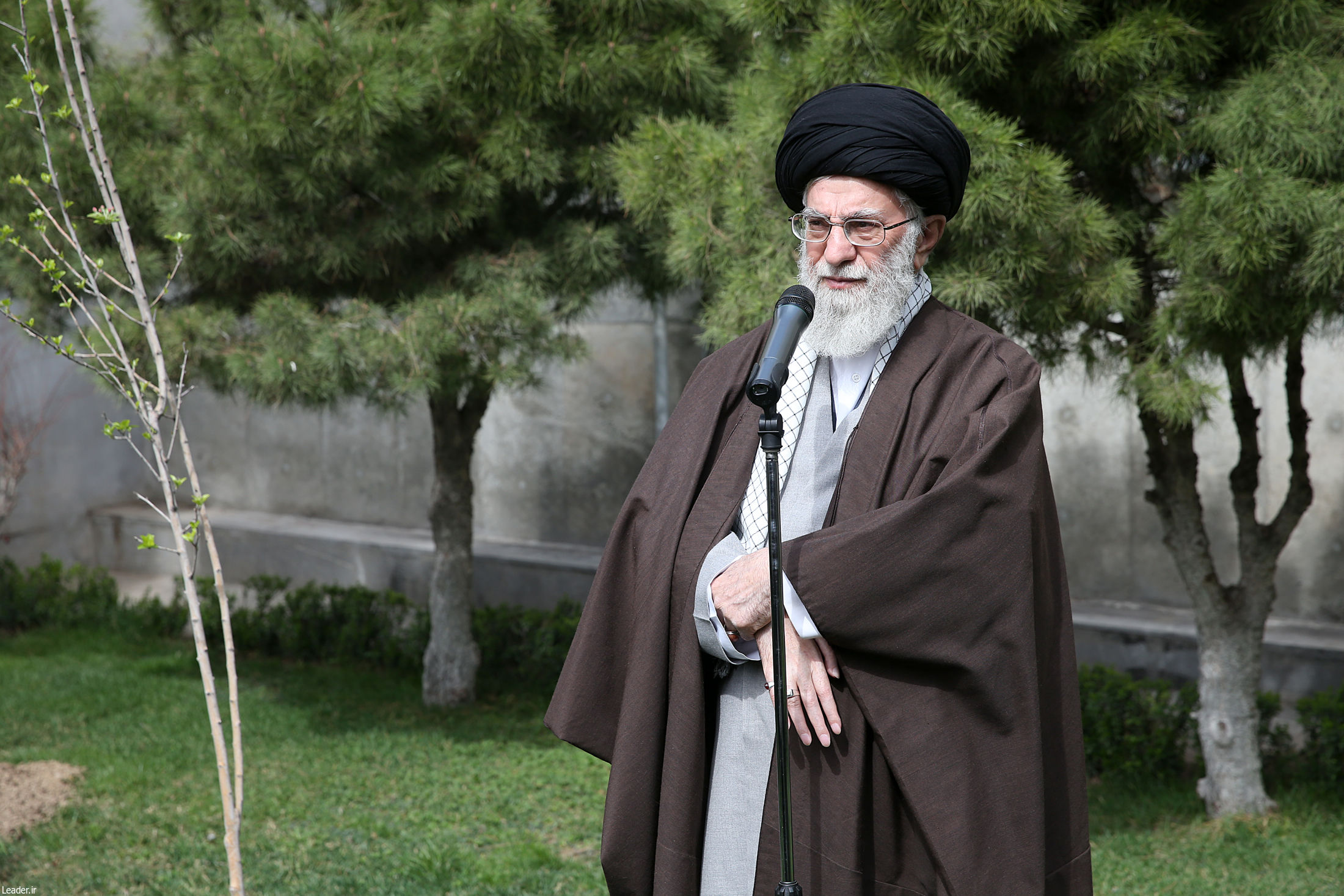 مسئولان مانع از بین رفتن درختان و باغات موجود در شهرها شوند مسئولان مانع از بین رفتن درختان و باغات موجود در شهرها شوند