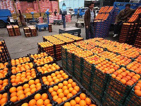 توزیع میوه‌های دولتی برای عید آغاز شد + قیمت