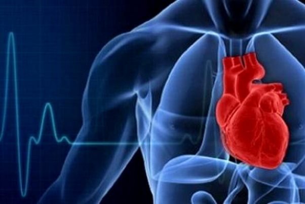 اندازه دور کمر پیش بینی کننده ریسک حمله قلبی است