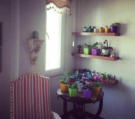 نقش شلف در دکوراسیون/عیدانه