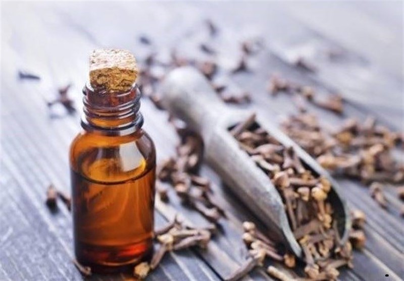 با ۱۱ مُسکن گیاهی و طبیعی قوی در طب سنتی آشنا شوید