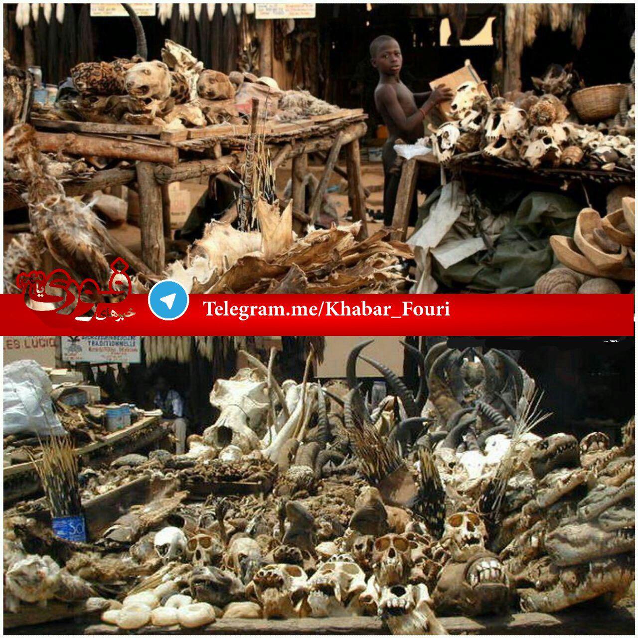 خواننده های سرود تیم ملی در جام جهانی/ اعتراض ارسطو به سانسور پایتخت/ ترسناکترین بازار جهان/ 10 مهارتی که تا 2020 باید داشته باشید خواننده های سرود تیم ملی در جام جهانی/ اعتراض ارسطو به سانسور پایتخت/ ترسناکترین بازار جهان/ 10 مهارتی که تا 2020 باید داشته باشید
