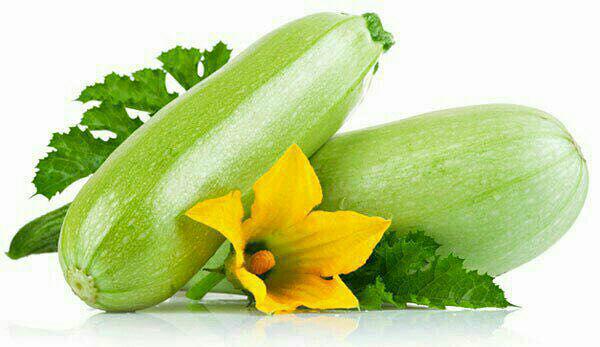 خواننده های سرود تیم ملی در جام جهانی/ اعتراض ارسطو به سانسور پایتخت/ ترسناکترین بازار جهان/ 10 مهارتی که تا 2020 باید داشته باشید خواننده های سرود تیم ملی در جام جهانی/ اعتراض ارسطو به سانسور پایتخت/ ترسناکترین بازار جهان/ 10 مهارتی که تا 2020 باید داشته باشید