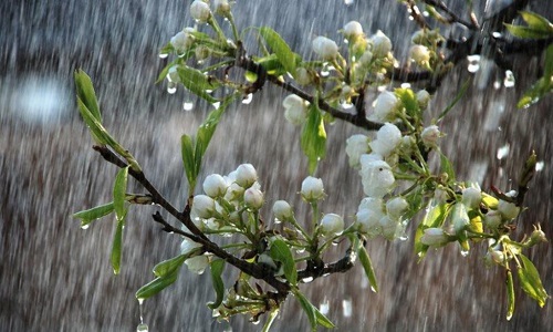 خبر‌های خوش سال ۹۷؛ تسهیلات ۲۰ میلیونی برای خریداران مسکن و دو هفته خوش بارش در کشور/ «دورهمی» پرمخاطب‌ترین برنامه نوروزی