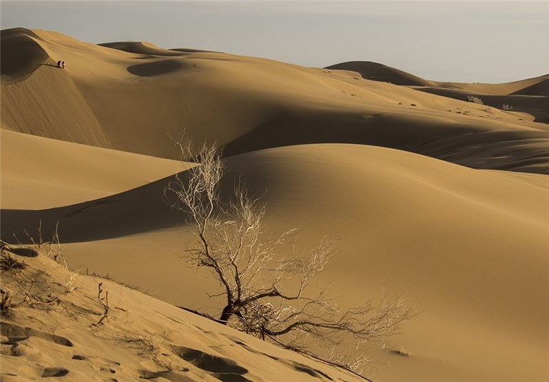 ۱۵ سورتی پرواز برای جستجوی گمشده کویر مرنجاب