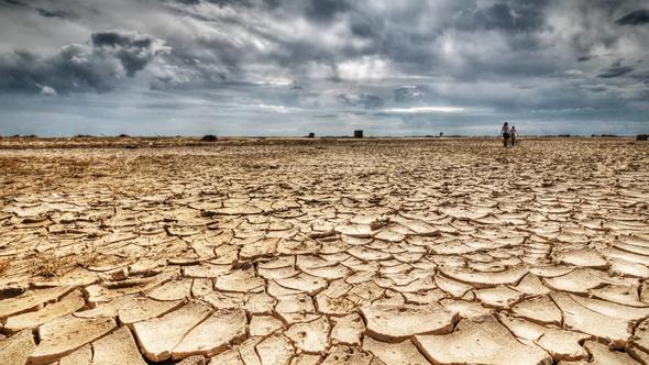افزایش نمک خشکسالی بر زخم‌های مردم منطقه سیستان